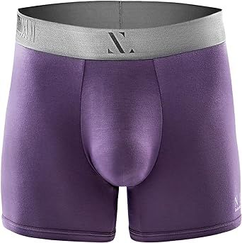 NEX Men's Boxer Briefs with Pouch Support, Micro Modal Fabric for Ultimate Comfortable Soft Underwear for Men